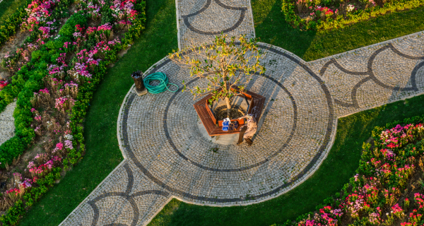 Hardscaping & Excavation