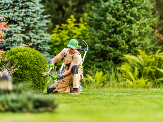 Lawn Care & Turf Management