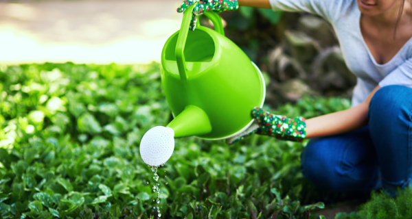 Liquid Fertilization