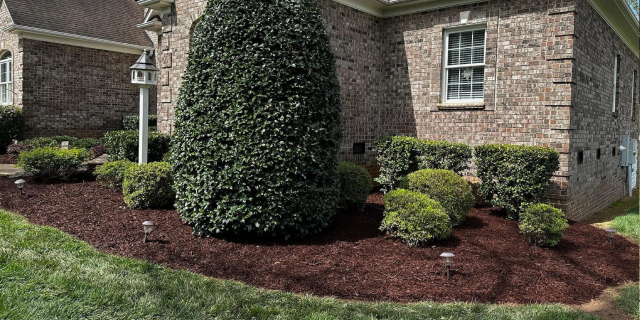Mulch & Pine-Needle Applications Matter